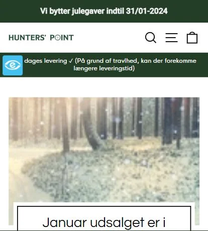 Hunterspoint website